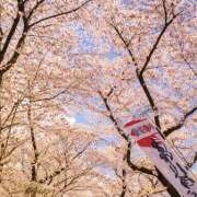 ヒメ日記 2026/04/09 17:30 投稿 ゆか 大宮baton