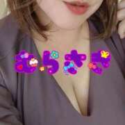 ヒメ日記 2024/12/17 13:06 投稿 むらさき 熟女家 京橋店