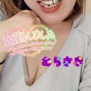 ヒメ日記 2024/12/19 10:47 投稿 むらさき 熟女家 京橋店