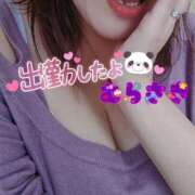 ヒメ日記 2025/01/18 10:36 投稿 むらさき 熟女家 京橋店