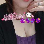 ヒメ日記 2025/04/18 10:47 投稿 むらさき 熟女家 京橋店