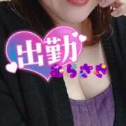 ヒメ日記 2025/04/19 10:48 投稿 むらさき 熟女家 京橋店