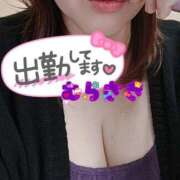 ヒメ日記 2025/04/30 10:40 投稿 むらさき 熟女家 京橋店