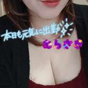 ヒメ日記 2025/05/02 10:46 投稿 むらさき 熟女家 京橋店