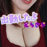 ヒメ日記 2025/06/19 10:48 投稿 むらさき 熟女家 京橋店