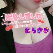 ヒメ日記 2025/08/04 10:46 投稿 むらさき 熟女家 京橋店