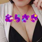 ヒメ日記 2025/08/19 08:19 投稿 むらさき 熟女家 京橋店