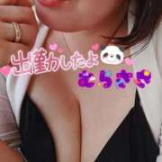 ヒメ日記 2025/08/25 10:46 投稿 むらさき 熟女家 京橋店