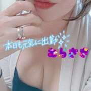 ヒメ日記 2025/09/12 10:46 投稿 むらさき 熟女家 京橋店