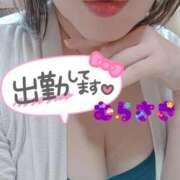 ヒメ日記 2025/09/14 10:47 投稿 むらさき 熟女家 京橋店