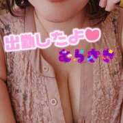 ヒメ日記 2025/09/17 10:36 投稿 むらさき 熟女家 京橋店