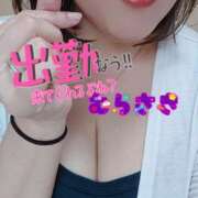 ヒメ日記 2025/11/19 10:36 投稿 むらさき 熟女家 京橋店