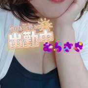 むらさき あなたの日常を明るくする夢心地💜 熟女家 京橋店