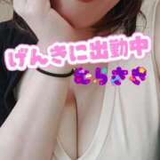 ヒメ日記 2026/01/11 10:46 投稿 むらさき 熟女家 京橋店