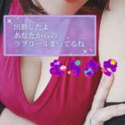 ヒメ日記 2026/01/16 11:20 投稿 むらさき 熟女家 京橋店