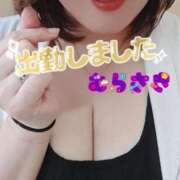 ヒメ日記 2026/01/19 10:46 投稿 むらさき 熟女家 京橋店