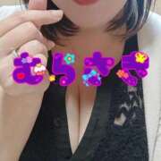 ヒメ日記 2026/02/02 08:16 投稿 むらさき 熟女家 京橋店