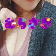 ヒメ日記 2026/02/13 08:13 投稿 むらさき 熟女家 京橋店