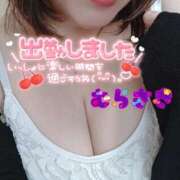 ヒメ日記 2026/02/13 10:49 投稿 むらさき 熟女家 京橋店