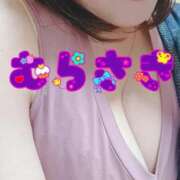 ヒメ日記 2026/02/16 08:16 投稿 むらさき 熟女家 京橋店