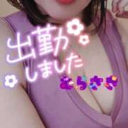 ヒメ日記 2026/02/16 10:46 投稿 むらさき 熟女家 京橋店