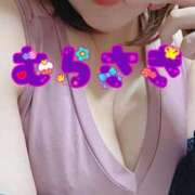 ヒメ日記 2026/02/17 08:16 投稿 むらさき 熟女家 京橋店