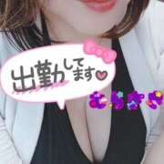 ヒメ日記 2026/02/23 10:46 投稿 むらさき 熟女家 京橋店