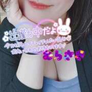 ヒメ日記 2026/02/24 11:16 投稿 むらさき 熟女家 京橋店