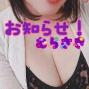 むらさき お知らせ！ 熟女家 京橋店