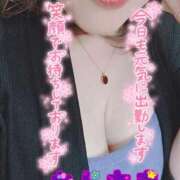 ヒメ日記 2026/03/05 11:16 投稿 むらさき 熟女家 京橋店