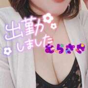 ヒメ日記 2026/03/12 10:46 投稿 むらさき 熟女家 京橋店