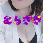 ヒメ日記 2026/03/15 08:16 投稿 むらさき 熟女家 京橋店