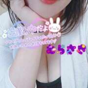 ヒメ日記 2026/03/16 10:42 投稿 むらさき 熟女家 京橋店