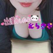 ヒメ日記 2026/03/19 10:49 投稿 むらさき 熟女家 京橋店