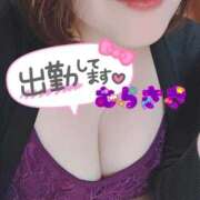 ヒメ日記 2026/03/23 10:50 投稿 むらさき 熟女家 京橋店