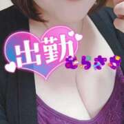 ヒメ日記 2026/03/29 10:47 投稿 むらさき 熟女家 京橋店