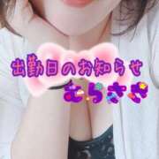 ヒメ日記 2026/05/01 12:26 投稿 むらさき 熟女家 京橋店