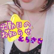 ヒメ日記 2026/05/13 12:19 投稿 むらさき 熟女家 京橋店