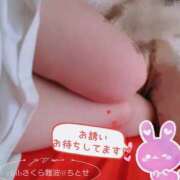 ヒメ日記 2025/10/22 09:59 投稿 ちとせ clubさくら難波店