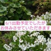 ヒメ日記 2024/05/30 11:54 投稿 ちとせ 奥様さくら難波店