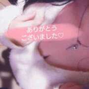 ヒメ日記 2024/12/23 20:41 投稿 ちとせ 奥様さくら難波店