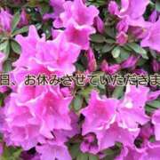 ヒメ日記 2025/03/27 16:41 投稿 ちとせ 奥様さくら難波店