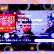 ヒメ日記 2025/11/25 07:00 投稿 望月あやこ 五反田ヒーローズ（ユメオト）