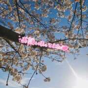 ヒメ日記 2025/04/08 22:08 投稿 ももな 成田富里インターちゃんこ