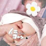 ヒメ日記 2025/09/11 10:48 投稿 ももな 成田富里インターちゃんこ