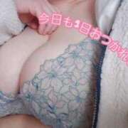 ヒメ日記 2026/02/02 20:48 投稿 ももな 成田富里インターちゃんこ