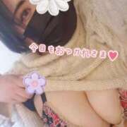 ヒメ日記 2026/02/04 17:08 投稿 ももな 成田富里インターちゃんこ