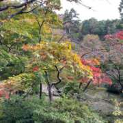 すい まだ早かった、、 湯房 湯島御殿