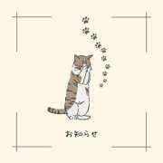 ヒメ日記 2025/03/07 15:30 投稿 さら エディーズ