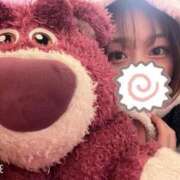 さら おはよう エディーズ